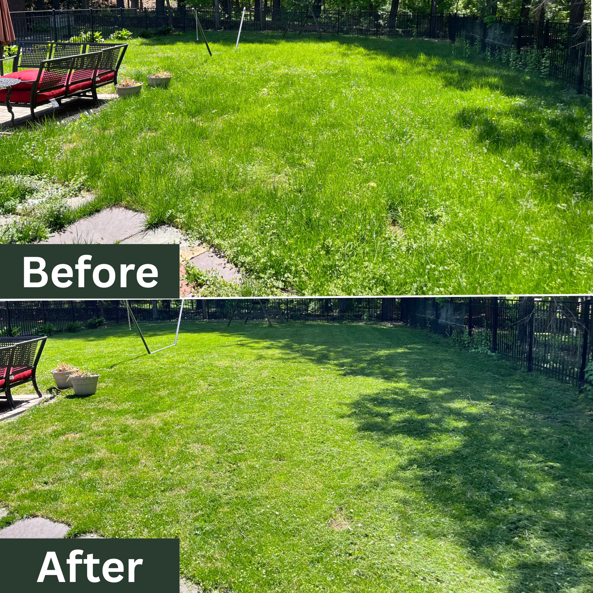 Lawn Mowing Before & After